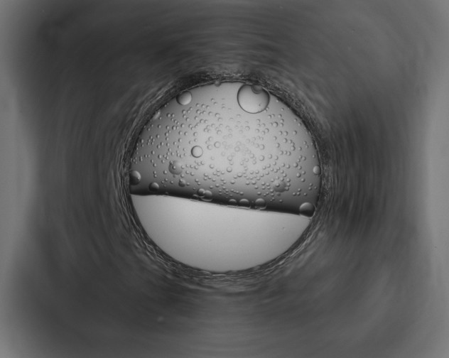X0000088181201200705150932