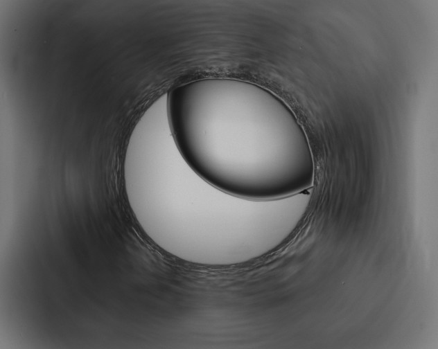 X0000088181202200705150932