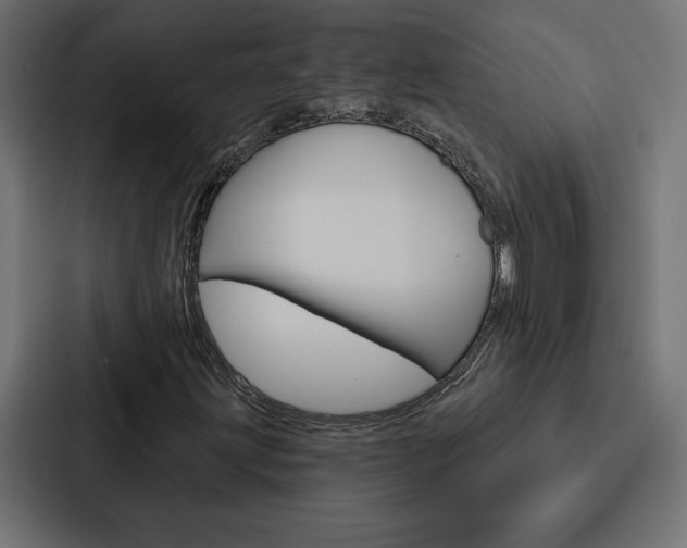 X0000088181203200705150932