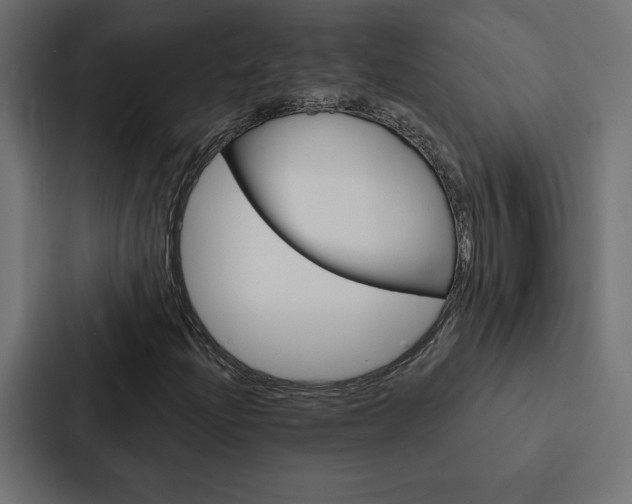 X0000088181204200705150932