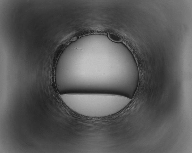 X0000088181205200705150932
