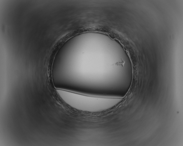 X0000088181206200705150932