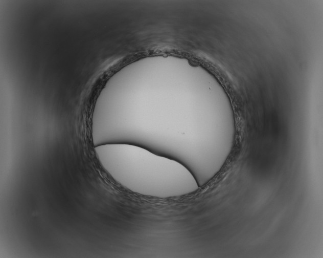 X0000088181207200705150932