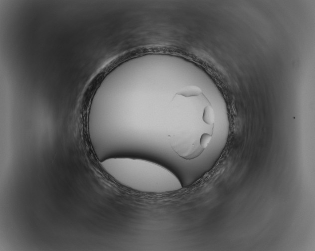 X0000088181208200705150932