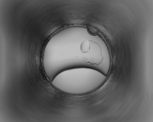 X0000088181209200705150933