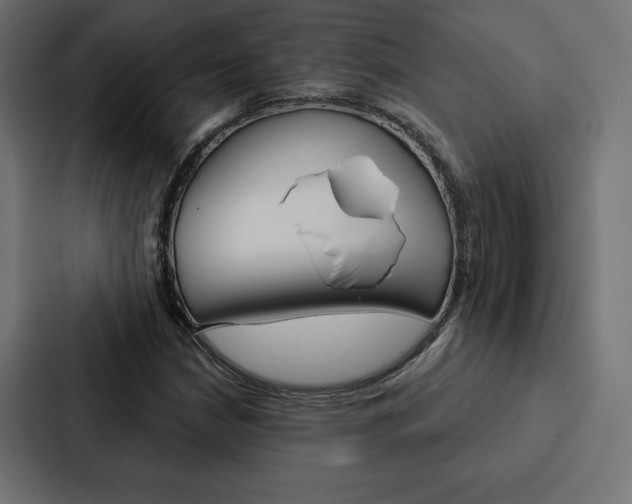 X0000088181210200705150933