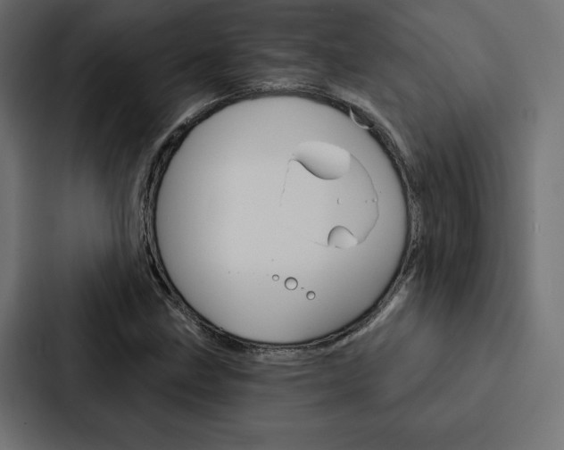 X0000088181211200705150933