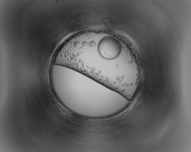 X0000088181212200705150933