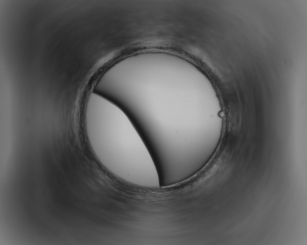 X0000088181213200705150933