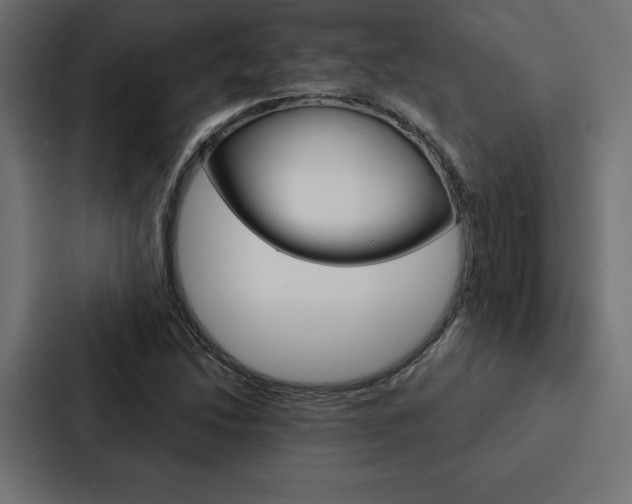 X0000088181214200705150933