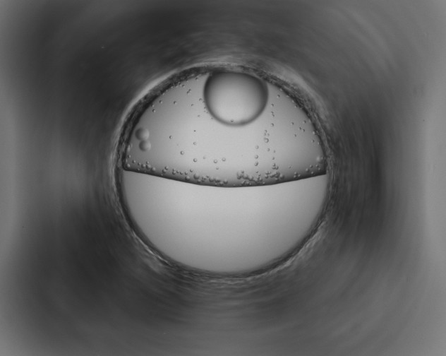 X0000088181216200705150933