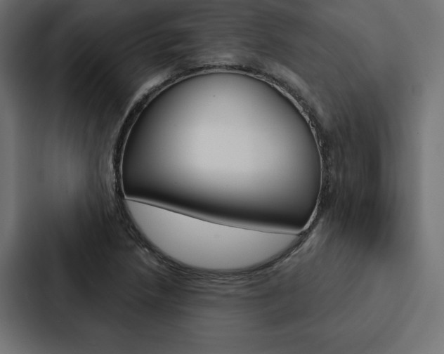 X0000088181218200705150933