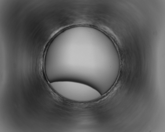X0000088181220200705150933