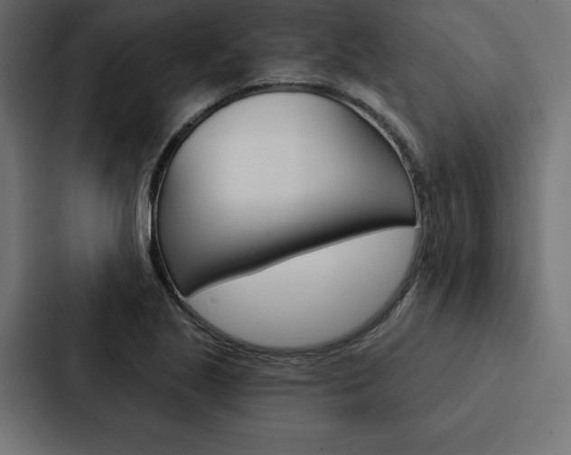 X0000088181221200705150933