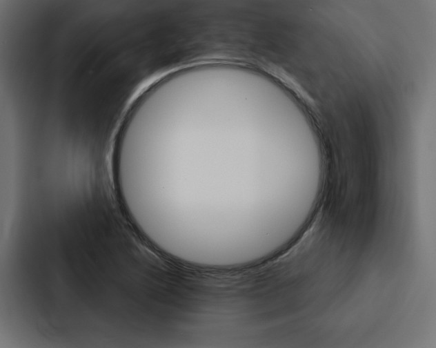 X0000088181222200705150933