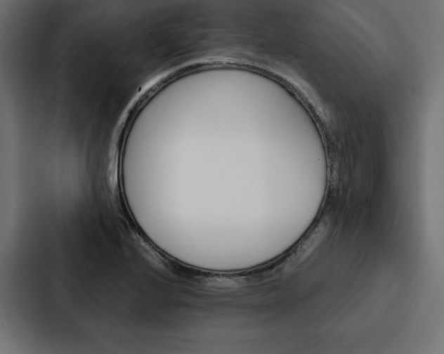 X0000088181224200705150933