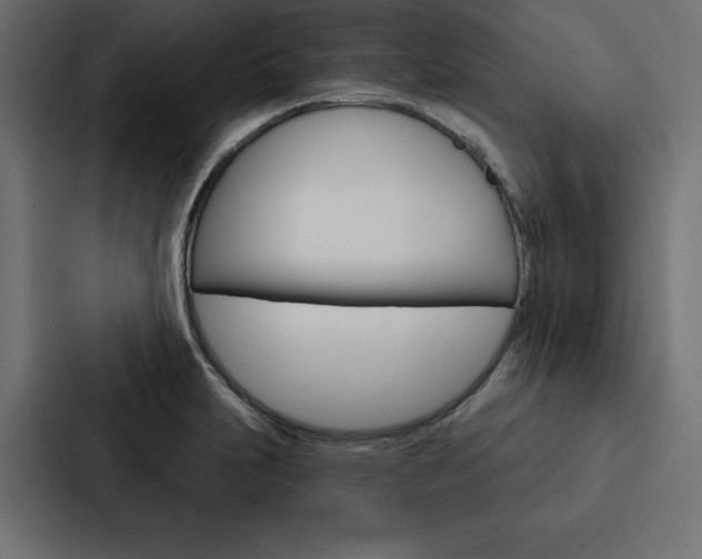 X0000088181231200705150933
