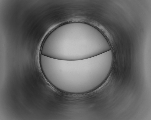 X0000088181232200705150933