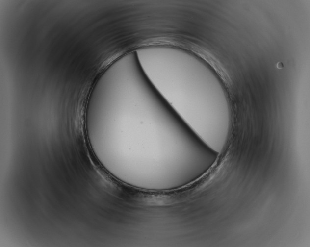 X0000088181233200705150933