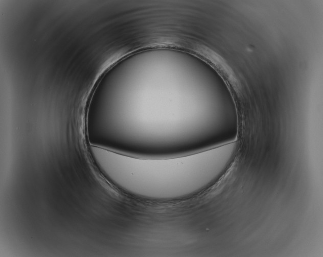 X0000088181234200705150933