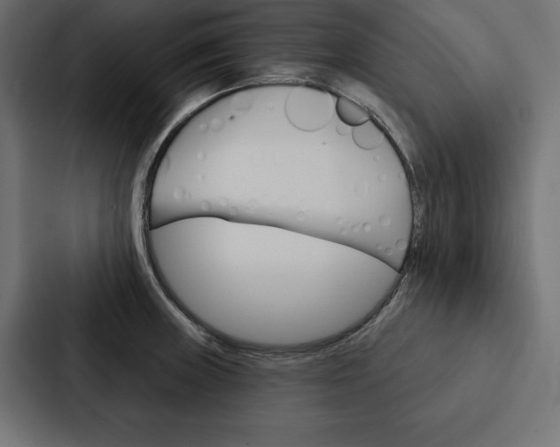 X0000088181235200705150933