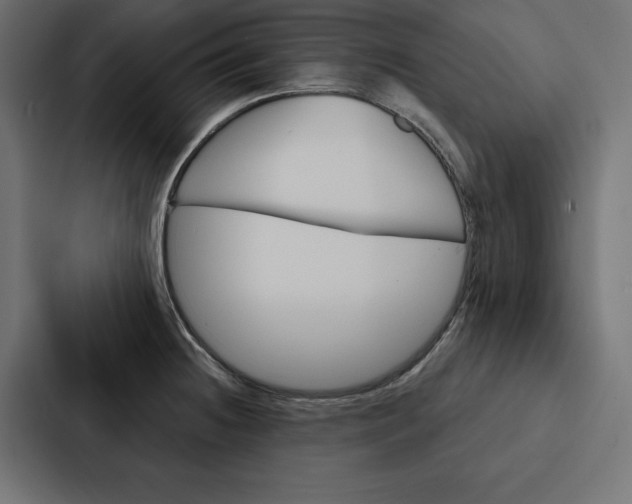 X0000088181236200705150933