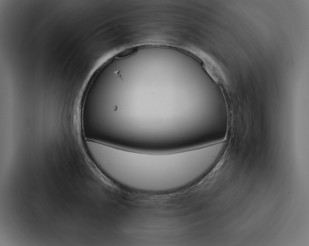 X0000088181238200705150933
