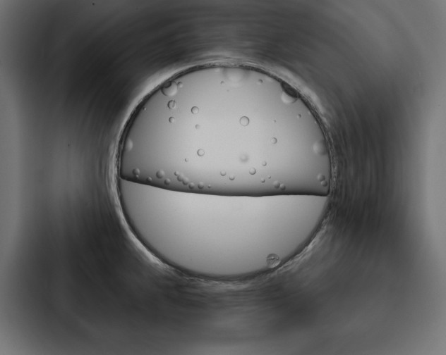 X0000088181239200705150933