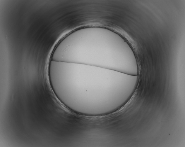 X0000088181240200705150933