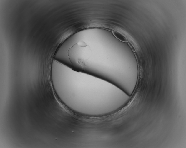 X0000088181241200705150933