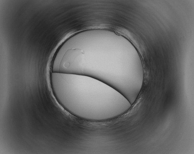 X0000088181243200705150933