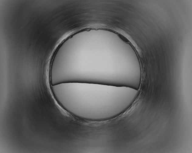 X0000088181245200705150933