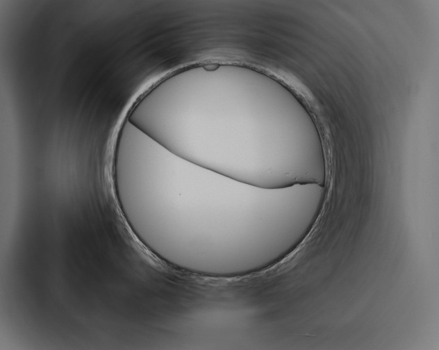 X0000088181248200705150933