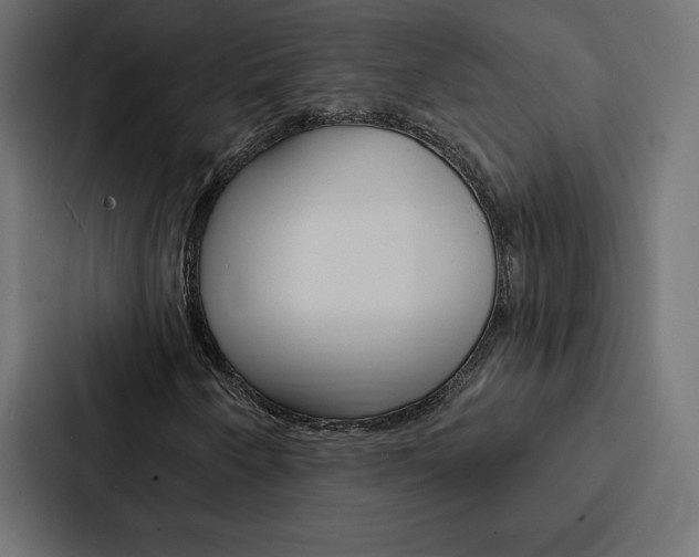 X0000088181250200705150932