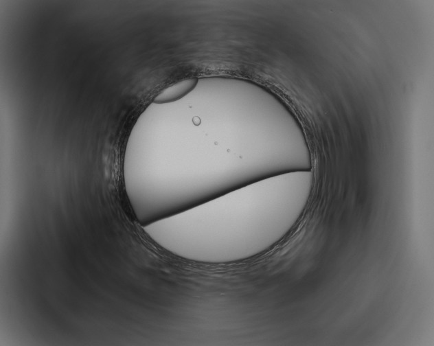 X0000088181251200705150932