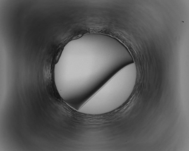 X0000088181252200705150932
