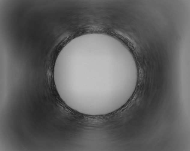 X0000088181254200705150932