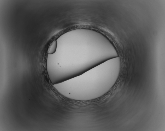 X0000088181255200705150932