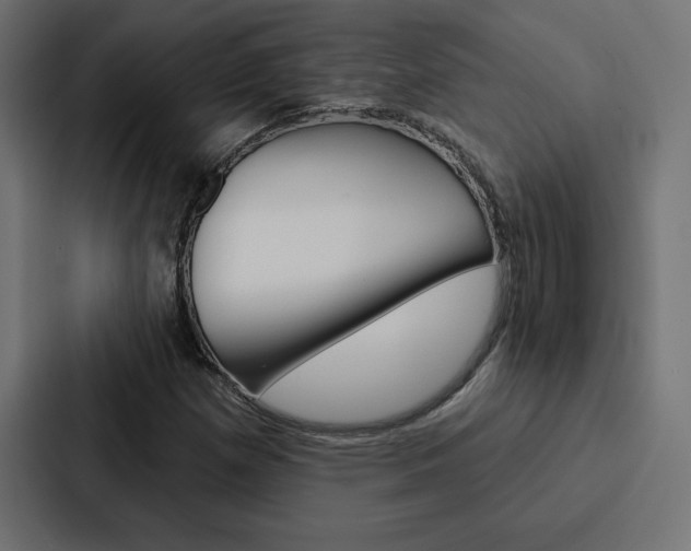 X0000088181257200705150932