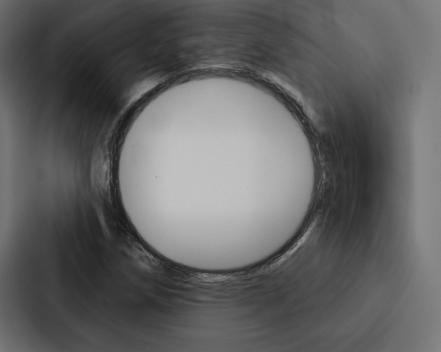 X0000088181258200705150932