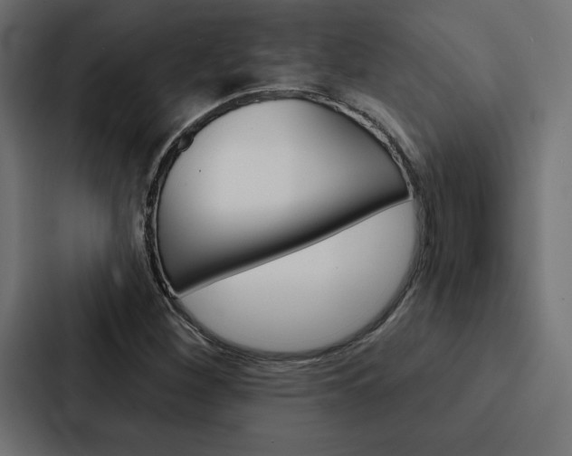 X0000088181260200705150932