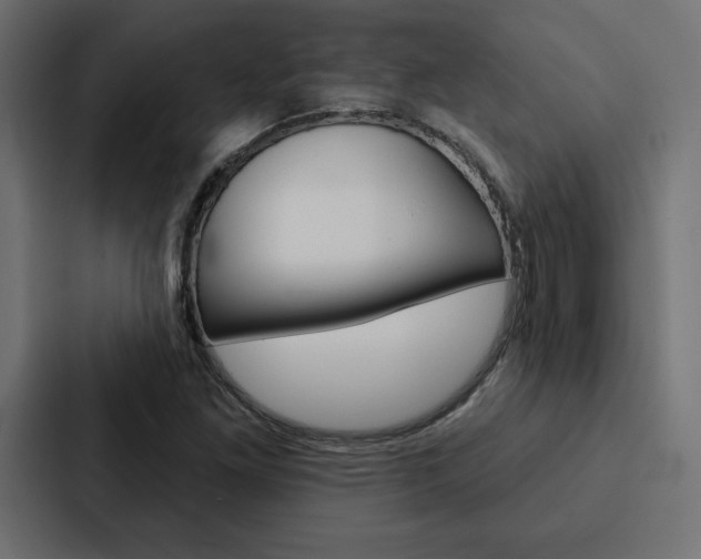 X0000088181261200705150932
