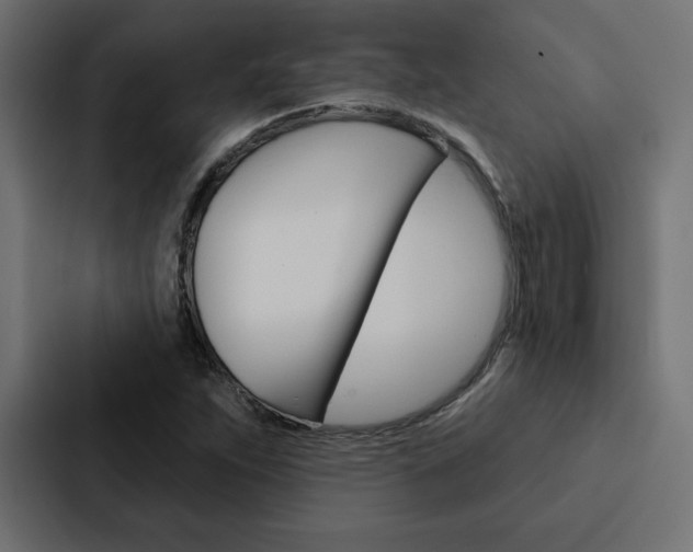 X0000088181263200705150932