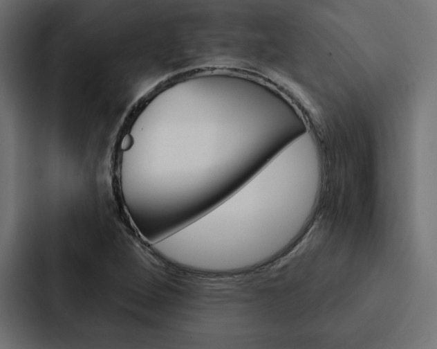 X0000088181264200705150932