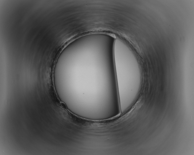 X0000088181265200705150932