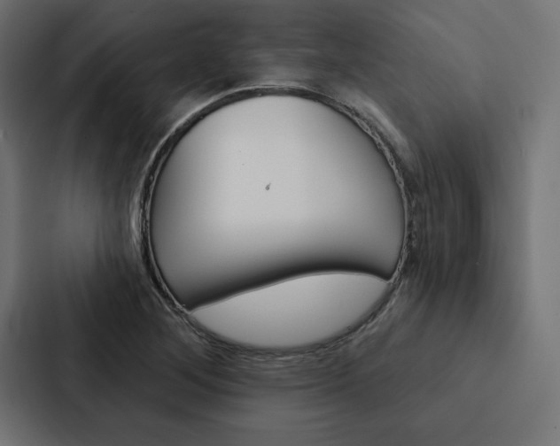 X0000088181268200705150932