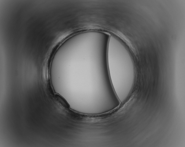 X0000088181269200705150932