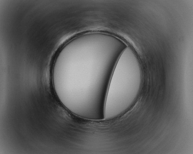 X0000088181270200705150932