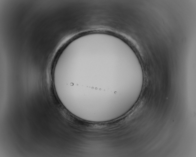 X0000088181271200705150932