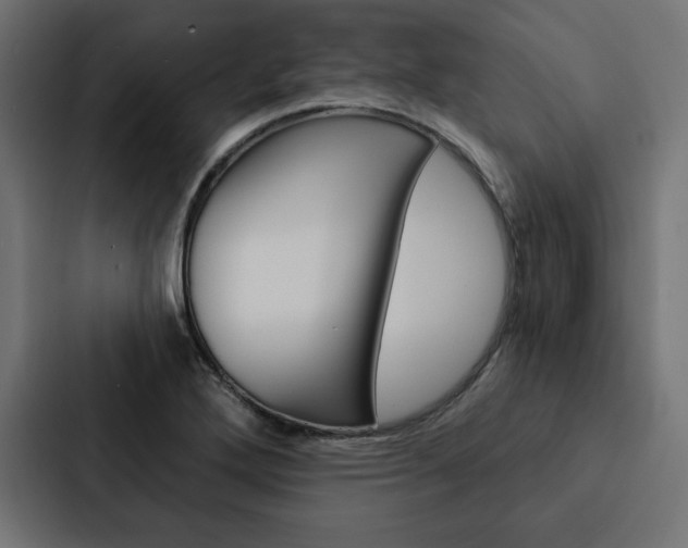 X0000088181272200705150932